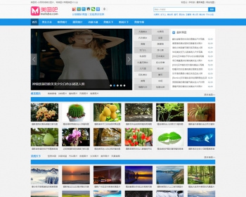 帝国CMS7.2仿《美图吧》网站源码 带手机版 带采集 - PHP