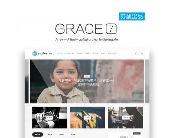 苏醒新作 Grace 主题7.0本+使用教程.PDF - WordPress