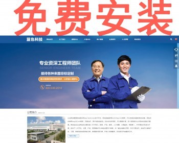 html5 响应式网站 企业网站源码asp.net中英文版手机自适应带后台 - HTML / 前端静态