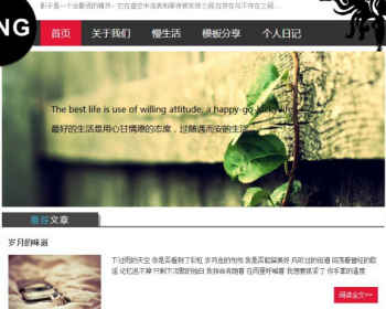 自适应个性的个人博客整站织梦模板程序（响应式） dedecms织梦 - PHP
