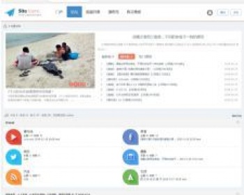 Simple时尚设计网站模板 discuz模板 - PHP
