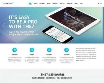 企业商城汉化主题源码 - WordPress