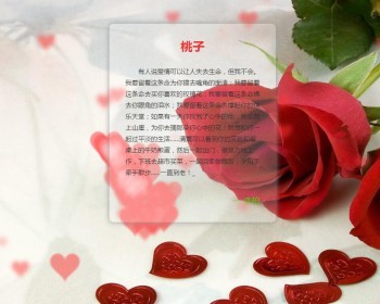 个人表白源码 表白单页网站源码 情人节打字表白效果桃心温馨表白网站源码 - HTML / 前端静态