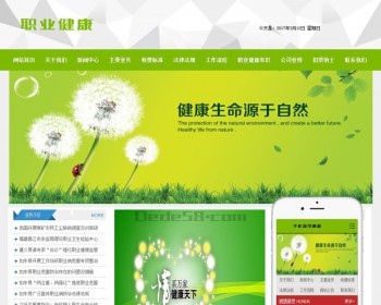 职业健康机构类网站织梦模板（带手机端） - PHP