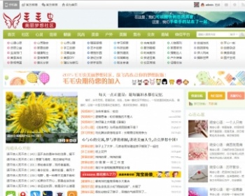 出售大气社区门户论坛模版插件源码 - PHP
