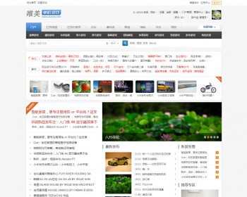 Discuz全功能GBK商业模板 游戏资讯技术门户 - PHP