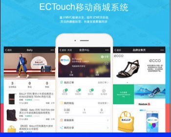 微商城分销网站源码系统Ecshop手机版独立后台带微信 - PHP