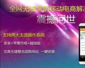 2015年团购网系统+手机app客户端。包安装、包调试。 - PHP