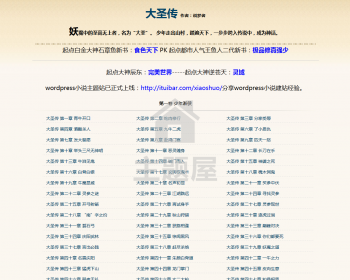 wordpress小说主题：单本小说精品主题DanXs