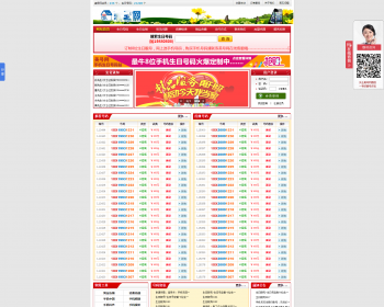 asp手机靓号选号网站源码程序 手机号选号网站程序 - HTML / 前端静态