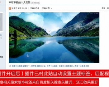 Discuz插件 TAG标签自动获取SEO 1.3 商业版 - PHP