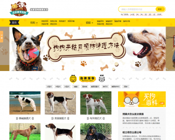 帝国cms仿《小可爱宠物网》宠物模板，宠物源码简洁大气带手机同步插件和火车 - PHP