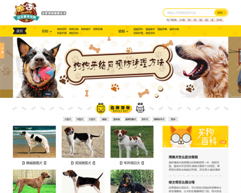 帝国仿《小可爱宠物网》宠物网站模板 宠物源码带手机同步插件 - PHP