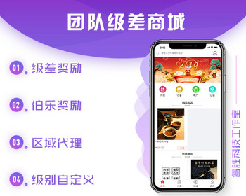 直销商城，团队业绩/省市代理/级差奖/平级奖/ - ThinkPHP