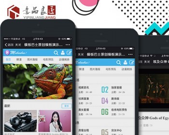 discuz手机模板 VR视频二次元资讯 dz手机源码 手机版 dz网站模板 - PHP