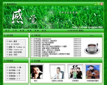 绿色漂亮 个人主页个人网站系统ASP网站源码0122 ASP完整带后台 - 其他源码