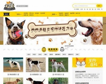 帝国CMS内核仿《小可爱宠物网》宠物资讯平台网站源码完整版+采集风格独特界面漂 - PHP