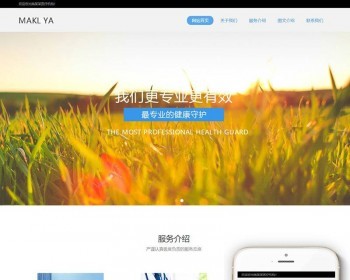 响应式医疗机构类网站织梦dedecms模板（自适应移动端） - PHP