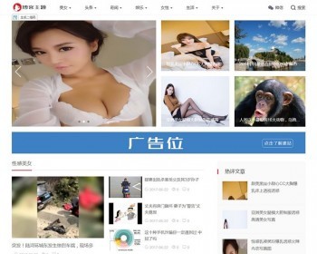响应式主题博客新闻自适应手机端织梦dedecms模板 - PHP