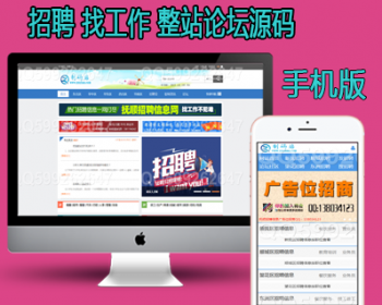 discuz大气招聘信息论坛 招聘找工作 整站源码 - PHP