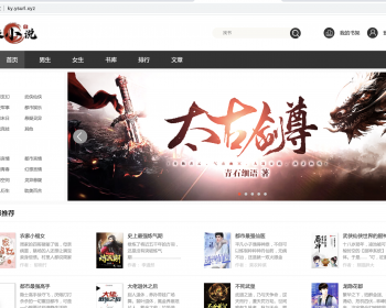 老狼小说源码自动采集+【深度seo优化】+wap自适应=小说网站源码 （原创模板 ） - ThinkPHP