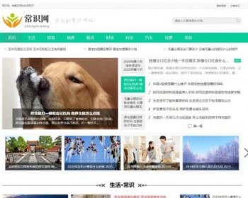 eyoucms自媒体新闻资讯类网站模板分享 - PHP