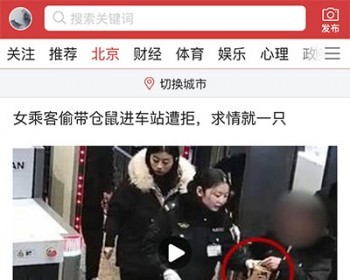 精仿趣头条今日头条新闻资讯APP源码 - PHP