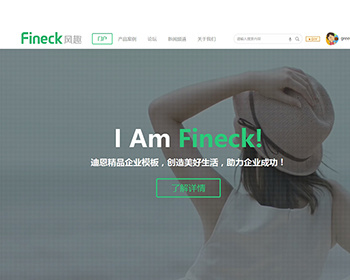 DiscuzX3.2模板 Fineck风趣GBK+UTF dz大气企业风格模板 - PHP