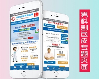 百度竞价专题网站源码html 单页面 商务通高转化 落地页推广源码 - HTML / 前端静态