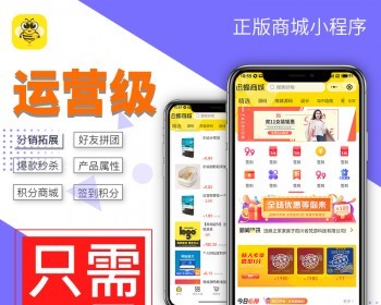 小程序商城运营版（秒杀、拼团、积分商城、自定义布局、移动端管理） - PHP