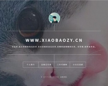 2021年一款简约的个人引导页自适应源码/导航源码/个人网站源码 - HTML / 前端静态