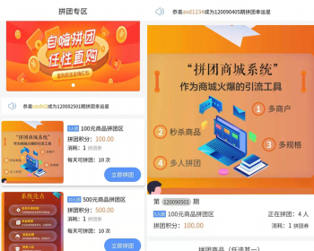 拼团商城 拼团返利商城 拼团返现 惠省快 趣拼 幸运拼 速去拼 薅羊毛拼团返利拼团商城 多区拼团 - ThinkPHP