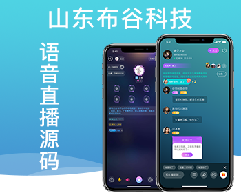 语音源码，整套语音聊天室源码，语音交友APP源码，语音交友系统开发 - PHP