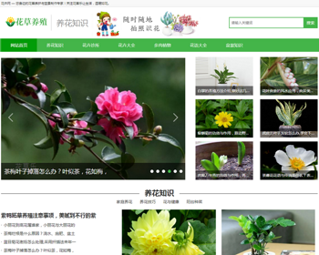 （带手机版数据同步）花卉养殖新闻资讯类织梦模板 绿色花草植物网站模板 - PHP