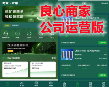 （公司运营版）IPFS算力、chia奇亚币算力分币管理系统、以太坊算力挖款 - ThinkPHP