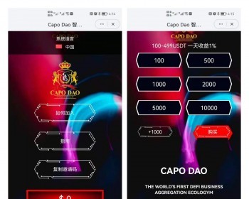 DAPP理财模式|钱包USDT加入|自动充提|智能量化 - 其他源码