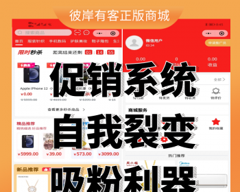 彼岸有客php购物商城源码网上商城系统B2B2C电商系统分销系统源码 - Laravel