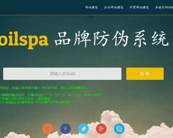 产品商品防伪码查询系统 防伪码自动生成 支持手机防假验证网站建设 - PHP