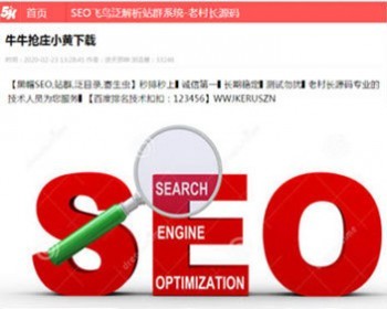 飞鸟泛解析泛目录站群系统源码 SEO系统搜索引擎源码 - PHP
