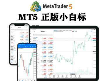 MT5搭建独立白标灰标蓝标整套mt5搭建CRM系统源码出售主标小白标FX6/HT5/ST6源码 - ThinkPHP