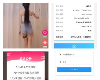 【吸粉引流神器】爆款超强引流弹窗吸粉定时广告+视频精选+带定时弹窗广告带，支付接口 - PHP