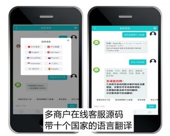 【十种语言】多商户在线客服系统源码，带机器人自动回复，带一键翻译，带撤回 - PHP