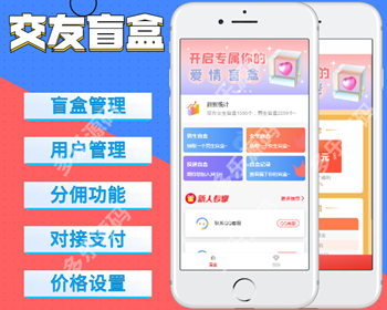 盲盒交友程序脱单盲盒交友存取小纸条匹配交友系统一元交友源码 - PHP