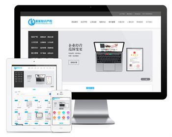 Thinkphp知识产权财务记账网站模板+前后端源码