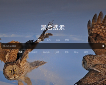高端导航网站源码、聚合搜索引擎源码（自动换壁纸+实时天气预报） - HTML / 前端静态