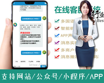 新版国际十种语言防黑版/即时通讯聊天/多商户无限坐席在线客服系统/带机器人带翻译 - ThinkPHP