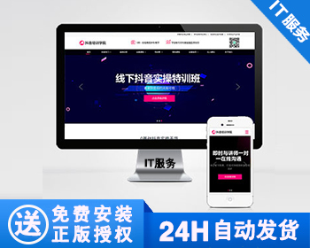 【正版】响应式抖音网红培训机构网站模板 自媒体短视频拍摄技巧网站源码 - PHP