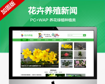 推荐（带手机端）花卉养殖新闻资讯类网站模板 养花种花绿植种植类网站源码 - PHP