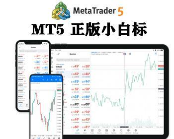 MT5申请搭建/MT4/FX6/ZA7/ST5/ST7和mt5搭建最完善外汇白标主标crm系统平台源码出售 - ThinkPHP