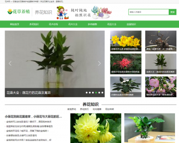 （PC+WAP）花卉养殖新闻资讯类pbootcms模板 绿色花草植物网站源码 - PHP